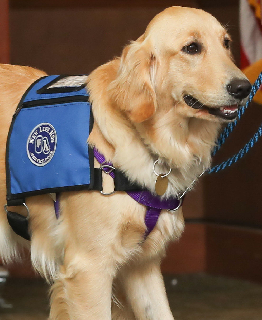031319 New Life K9s 05.jpg